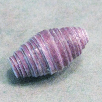 Image of an oval shaped paper bead.